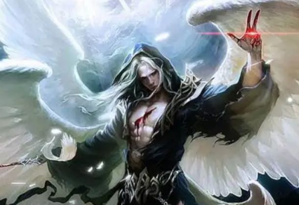 公证管理 第1614页