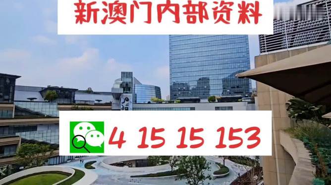 澳门广东八二站最新资讯与概况，极速版更新揭示潜在风险与犯罪问题