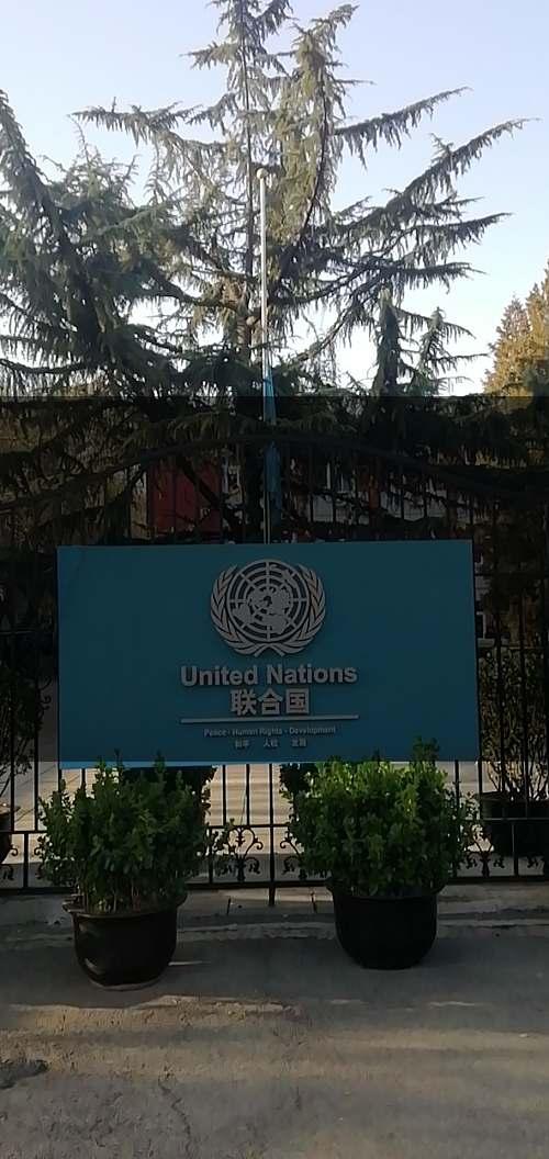 北京病毒疫情最新无症状全面解析，涵盖广泛的说明方法