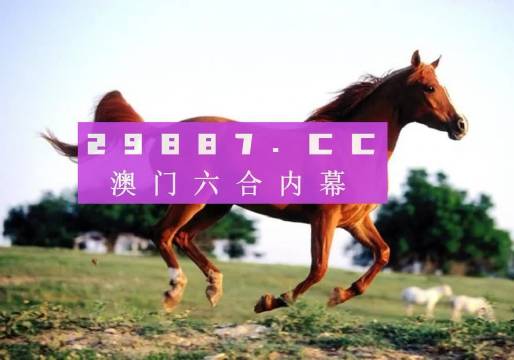 定性分析说明