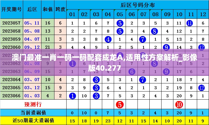 澳门最准一肖一码一码配套成龙A,适用性方案解析_影像版40.277