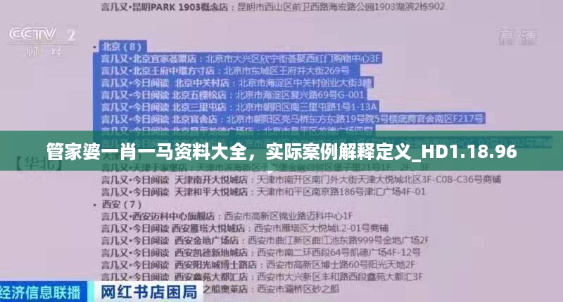 管家婆一肖一马资料大全，实际案例解释定义_HD1.18.96