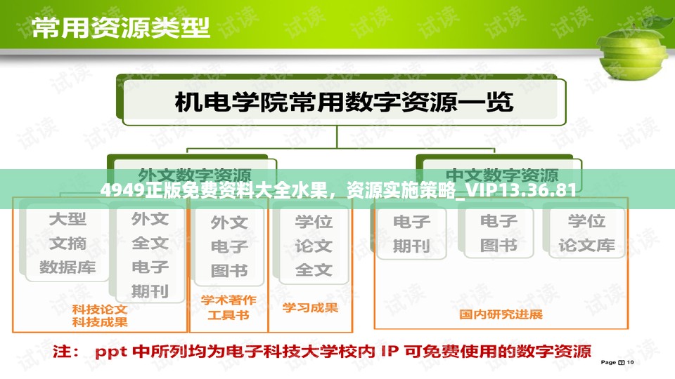 4949正版免费资料大全水果，资源实施策略_VIP13.36.81