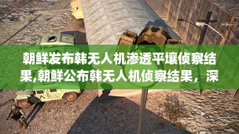 朝鲜公布韩无人机侦察结果，深入解析与多方观点碰撞，揭示无人机渗透平壤真相