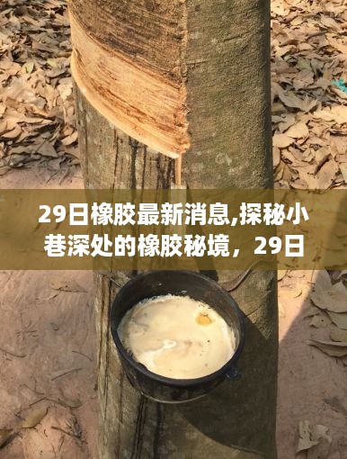 探秘小巷深处的橡胶秘境，最新消息与独特小店的29日新鲜故事