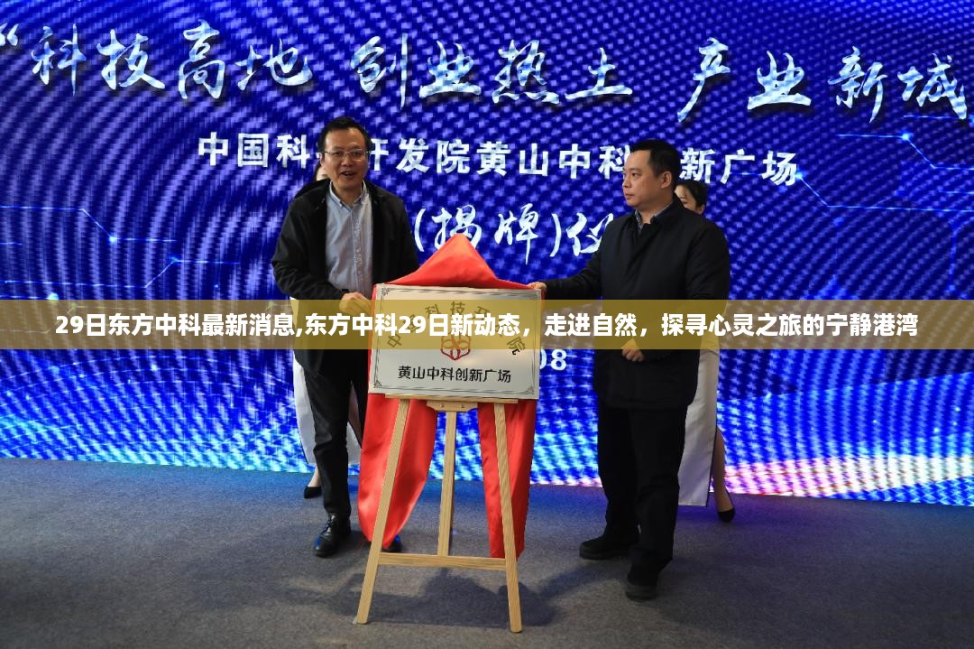 东方中科最新动态，探寻自然的心灵之旅宁静港湾