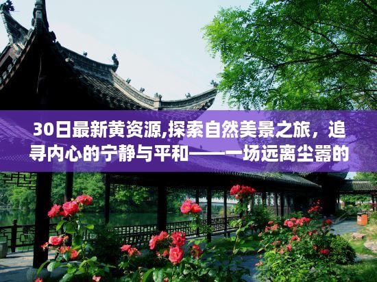 沉默的风 第44页