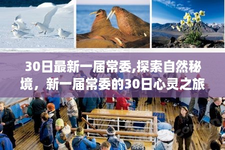 森久 第45页