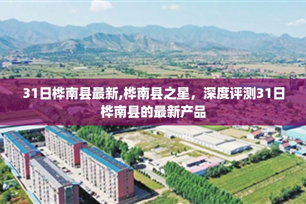 桦南县之星产品深度评测，最新产品一览