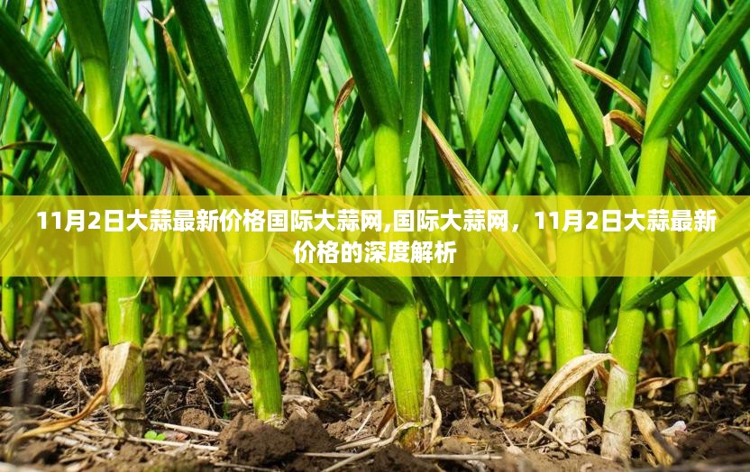 沉默的风 第30页