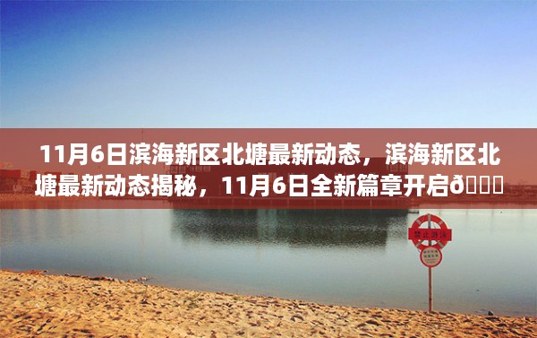 11月6日滨海新区北塘最新动态揭秘，全新篇章开启