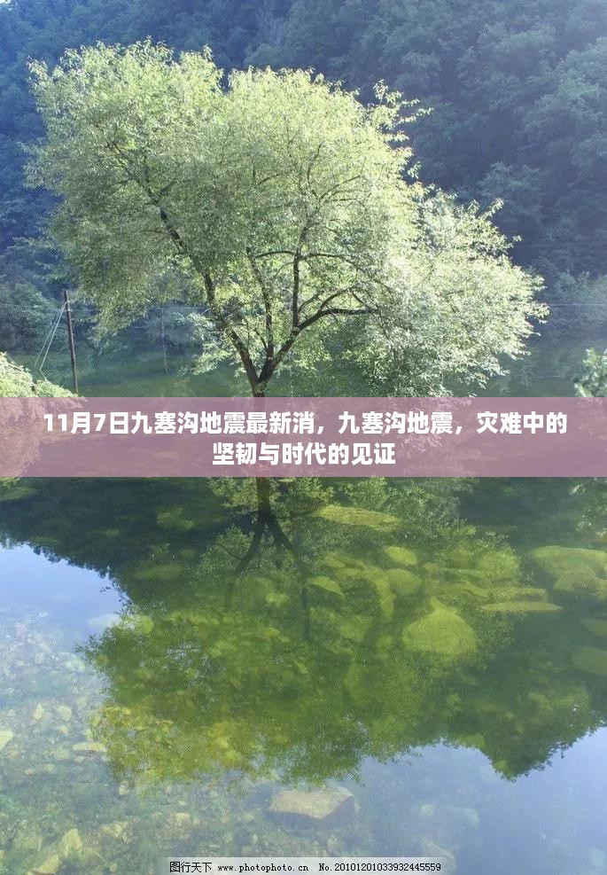 九塞沟地震最新消息，灾难中的坚韧与时代见证