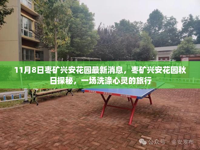 容光焕发 第19页