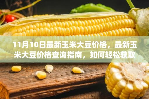 对答如流 第17页