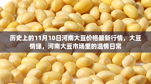 肝胆相照 第14页