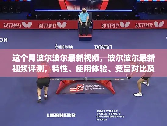 波尔波尔最新视频评测，特性、体验、竞品对比与目标用户深度解析