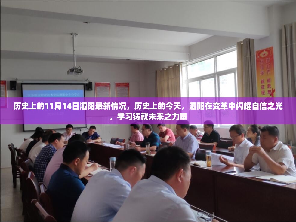 历史上的今天，泗阳在变革中自信闪耀，学习铸就未来力量——泗阳最新情况回顾与展望（11月14日）