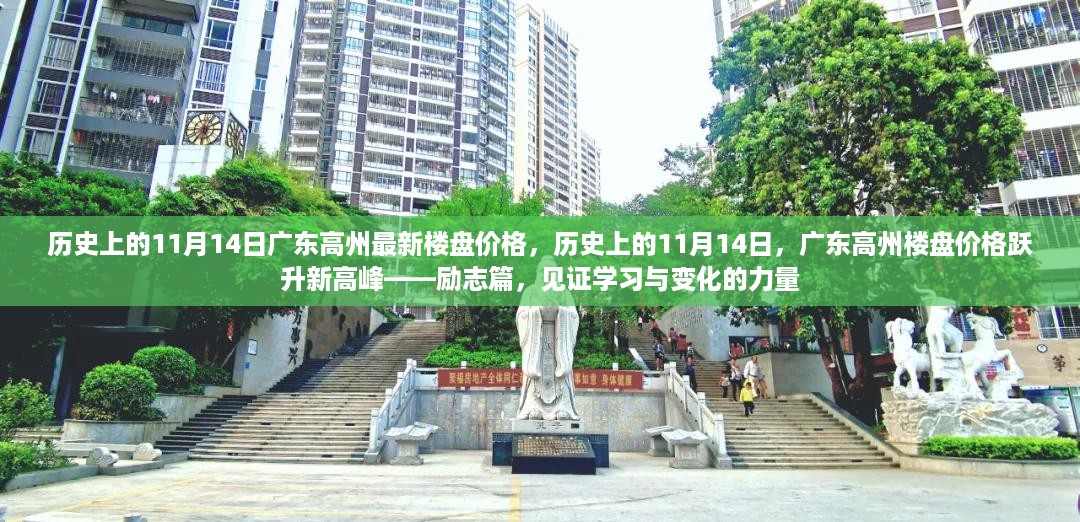 历史上的11月14日广东高州楼盘价格高峰，见证励志与变化的力量