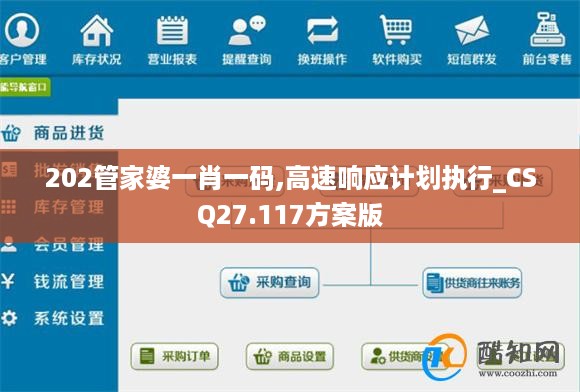 202管家婆一肖一码,高速响应计划执行_CSQ27.117方案版