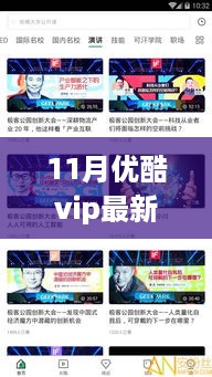 揭秘风云激荡的历程与影响，优酷VIP最新破解版揭秘与影响分析