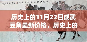 历史上的11月22日，成武豆角价格变迁与成长之路回顾