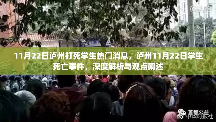 泸州11月22日学生死亡事件，深度解析与观点阐述