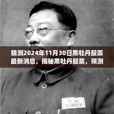 揭秘黑牡丹股票最新动态，预测未来展望与最新消息（截至2024年11月30日）