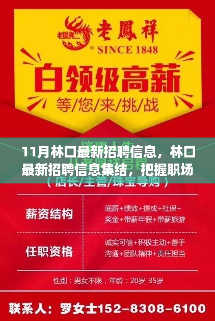 林口最新招聘集结，把握职场新机遇，开启事业新征程！