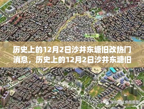 12月2日沙井东塘旧改热议背后的观点碰撞与消息回顾