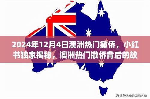 小红书独家揭秘，澳洲热门撤侨背后的故事，特殊时刻来临——2024年撤侨纪实