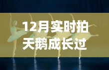 shenzhongqishi 第6页
