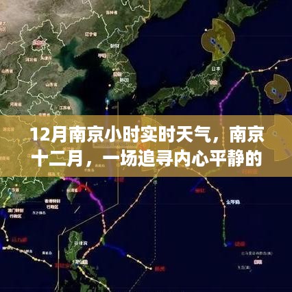 chongyanniaoji 第5页