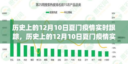 多维度视角下的审视与反思，夏门疫情实时跟踪回顾历史上的12月10日