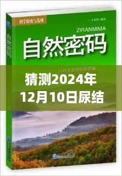 shenzhongqishi 第4页