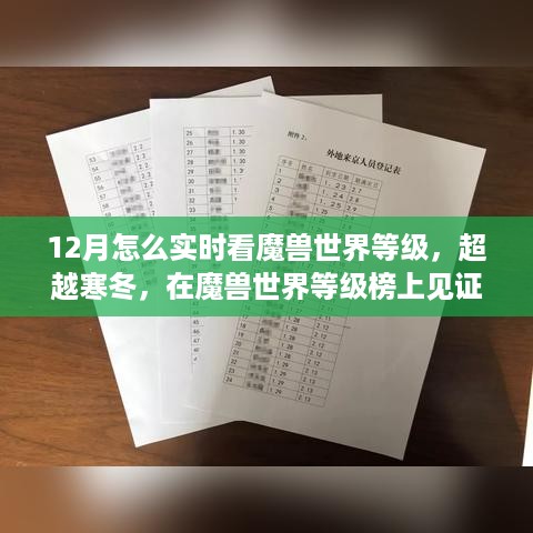 12月实时追踪魔兽世界等级，寒冬见证成长奇迹
