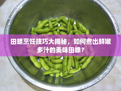 田螺烹饪技巧大揭秘，如何煮出鲜嫩多汁的美味田螺？