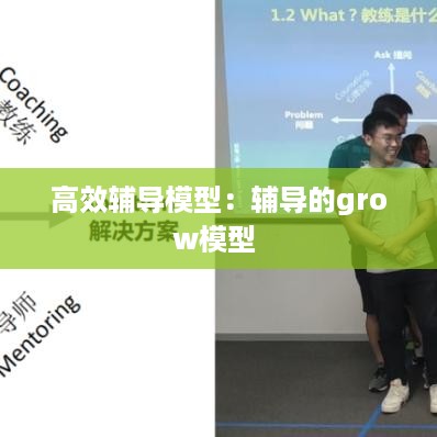 高效辅导模型：辅导的grow模型 