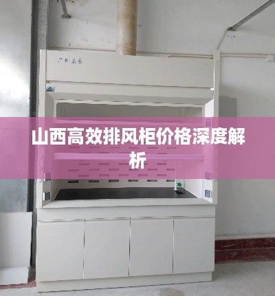 山西高效排风柜价格深度解析