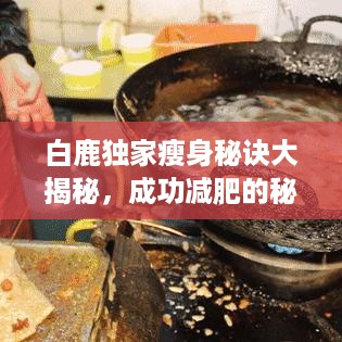 白鹿独家瘦身秘诀大揭秘，成功减肥的秘密之道