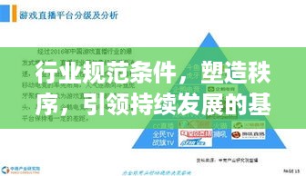 行业规范条件，塑造秩序，引领持续发展的基石之路