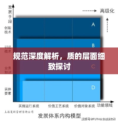 规范深度解析，质的层面细致探讨