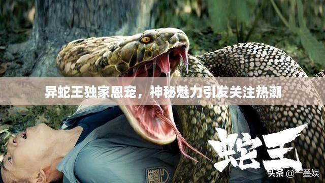 异蛇王独家恩宠，神秘魅力引发关注热潮