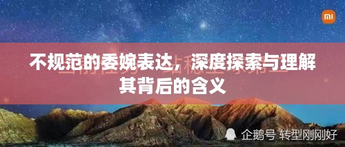 不规范的委婉表达，深度探索与理解其背后的含义