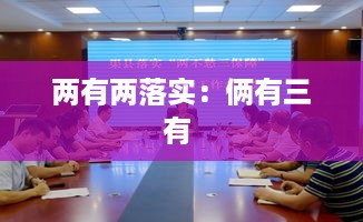 两有两落实：俩有三有 
