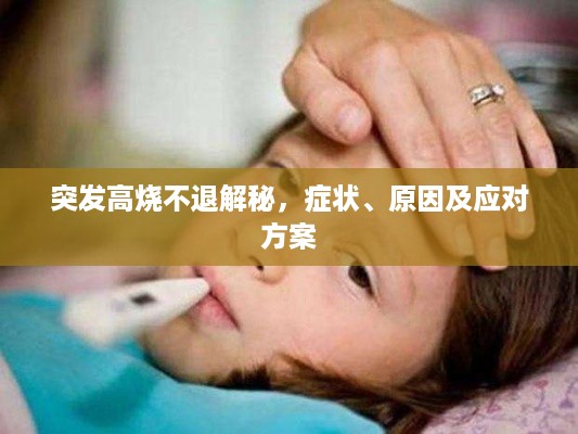 独出新裁 第2页
