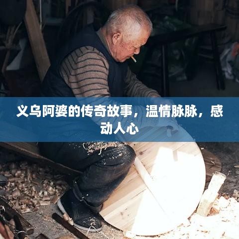 高不成低不就 第2页
