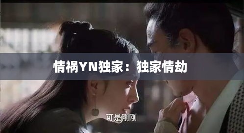 情祸YN独家：独家情劫 