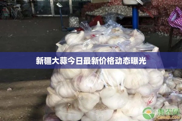 新疆大蒜今日最新价格动态曝光