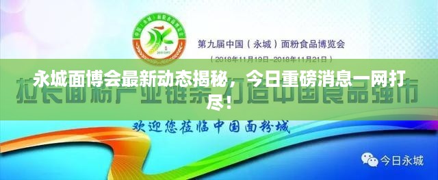 存证 第332页