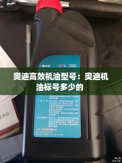 公证管理 第330页